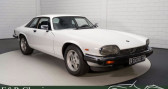 Jaguar XJS occasion année 1988 boite Automatique Annonce Jaguar XJS occasion Essence Xj-s Coupé | Voiture européenne | V12 | 1988 à Waalwijk